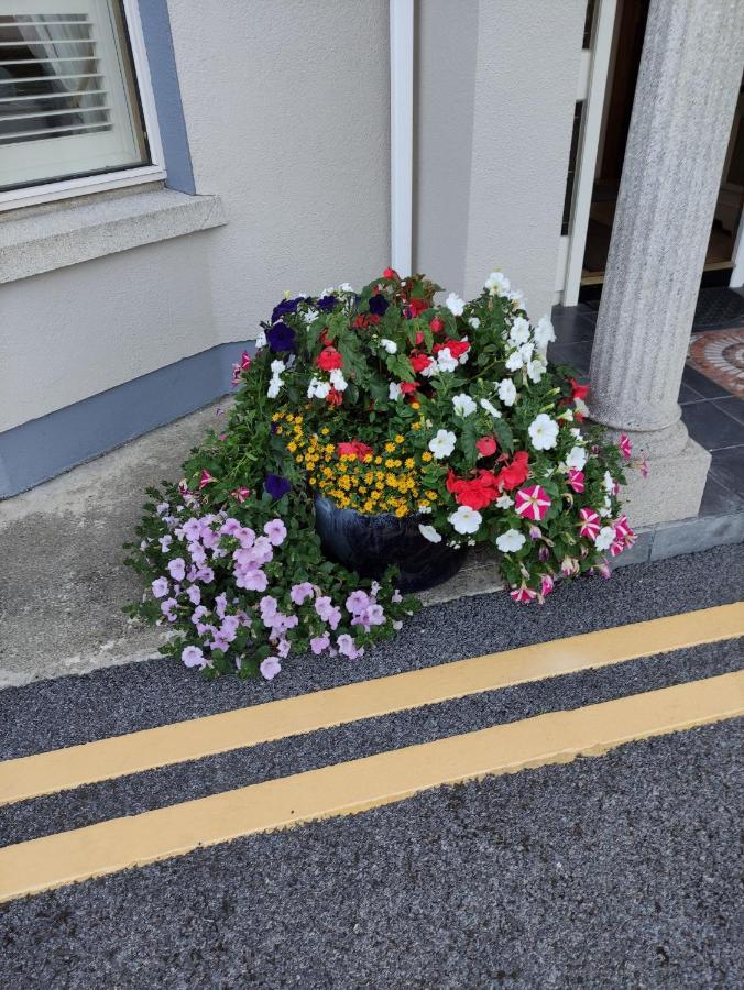 Ma Dwyer'S Guest Accommodation Navan Exteriér fotografie